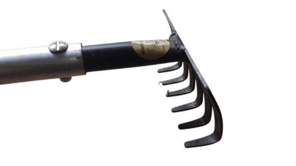 MACADAMIUM NUT CLAW